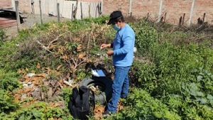 MSP realiza acciones de control vectorial en Loja, El Oro y Zamora Chinchipe
