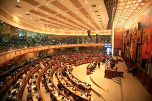 Asamblea Nacional abre el debate de la ley que garantiza el aborto de violaci&oacute;n