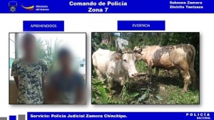 R&aacute;pida acci&oacute;n policial