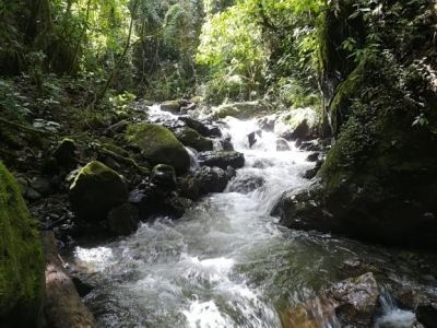 38 A&Ntilde;OS DE CREACI&Oacute;N DEL P&Aacute;RQUE NACIONAL PODOCARPUS