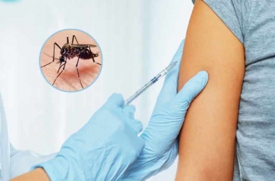 OMS aprueba una segunda vacuna contra el dengue