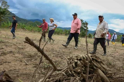 Prefectura eval&uacute;a cifras productivas perdidas durante emergencia invernal