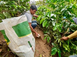 Prefectura alcanza segundo lugar de 189 propuestas en el Premio Verde 2024