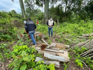 Prisi&oacute;n para infractor por atentar contra la flora y fauna silvestre dentro de un &aacute;rea protegida