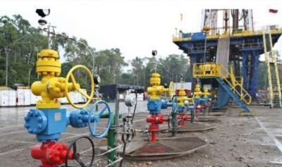 Ingresos petroleros y tributarios se hunden en Ecuador