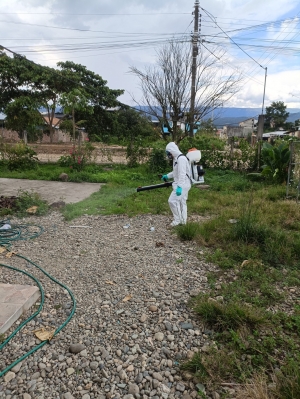 659 casos de dengue en el cant&oacute;n El Pangui