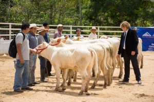 Socializan reglamento para la ejecuci&oacute;n de la Feria Agropecuaria Provincial 2021