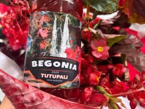 VII festival de la Begonia se realiz&oacute; en Tutupali