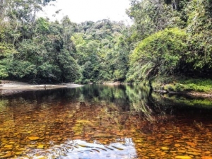 D&Eacute;CIMO CUARTO ANIVERSARIO DE LA  RESERVA DE BIOSFERA PODOCARPUS - EL C&Oacute;NDOR