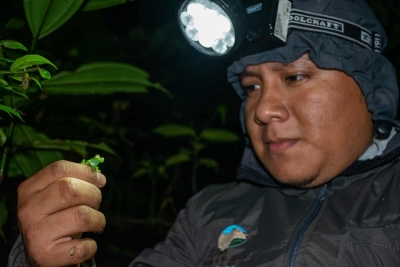Monitoreo de anfibios en el Refugio de Vida Silvestre El Zarza refuerza los valores de conservaci&oacute;n