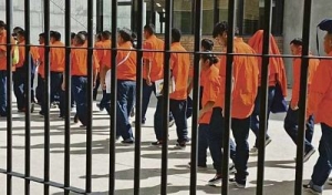 Gobierno tramit&oacute; libertad de m&aacute;s de 740 presos por otorgamiento de derechos penitenciarios