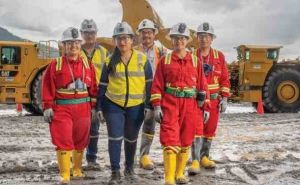 Un a&ntilde;o de la miner&iacute;a a gran escala  en el Ecuador