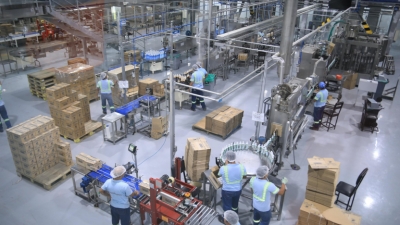 Empleo en Ecuador seguir&aacute; estancado en lo que resta de 2024