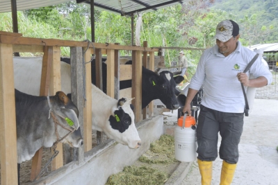 Prefectura trabaja en la construcci&oacute;n de establos en Centinela del C&oacute;ndor