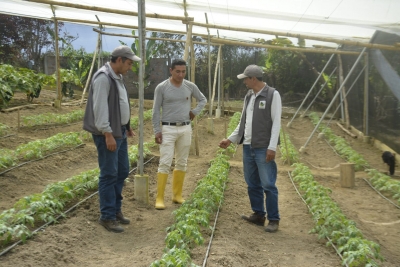 Prefectura impulsa soberan&iacute;a alimentaria de Palanda
