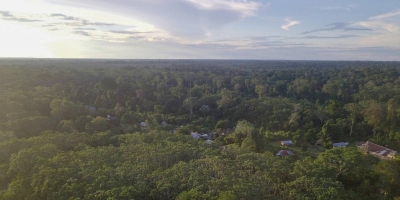Ecuador incorpora nuevas hect&aacute;reas de bosque protegido en su reserva natural