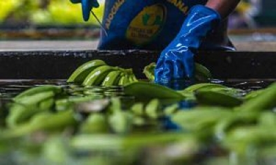Senado chileno aprueba acuerdo comercial entre Ecuador y Chile