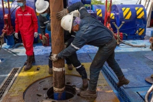 Nuevo pozo en el campo Sacha producir&aacute; unos 700 barriles de petr&oacute;leo por d&iacute;a
