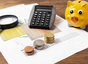 Recaudaci&oacute;n tributaria creci&oacute; 15,7% hasta noviembre de 2024