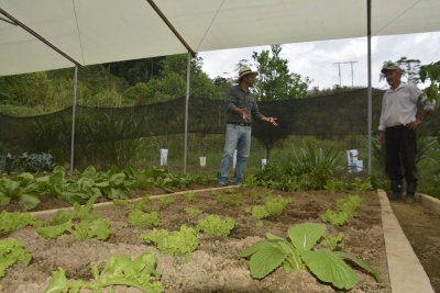Prefectura impulsa la producci&oacute;n org&aacute;nica en Bellavista