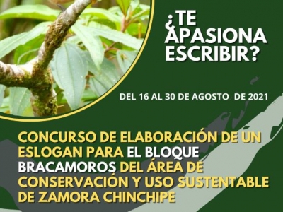 Prefectura invita a j&oacute;venes de Palanda y Chinchipe a participar de concurso ambiental
