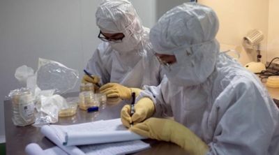 Un nuevo coronavirus en murci&eacute;lagos evidencia que el virus del covid-19 no fue creado en laboratorio